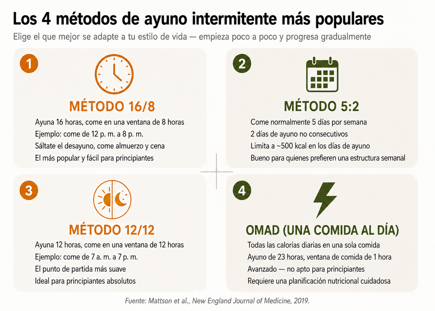 Infografía con los 4 métodos más populares de ayuno intermitente: 16/8, 5:2, 12/12 y OMAD